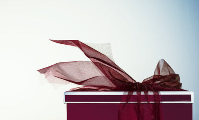 SHOWCASE WINDOWS HOLIDAY REVEAL!